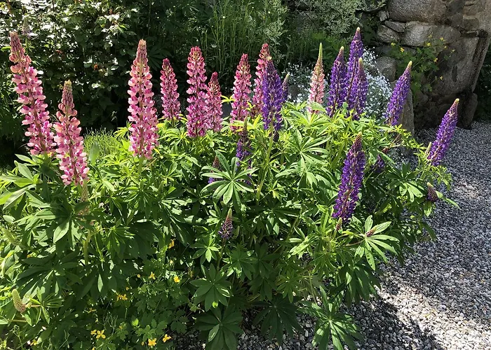 Inn Cal Xandera Angoustrine